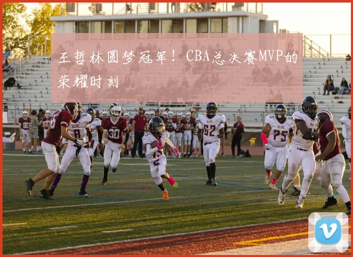 王哲林圆梦冠军！CBA总决赛MVP的荣耀时刻