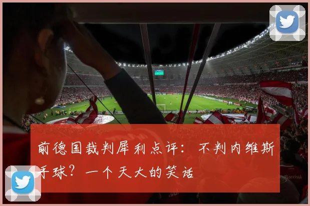 前德国裁判犀利点评：不判内维斯手球？一个天大的笑话
